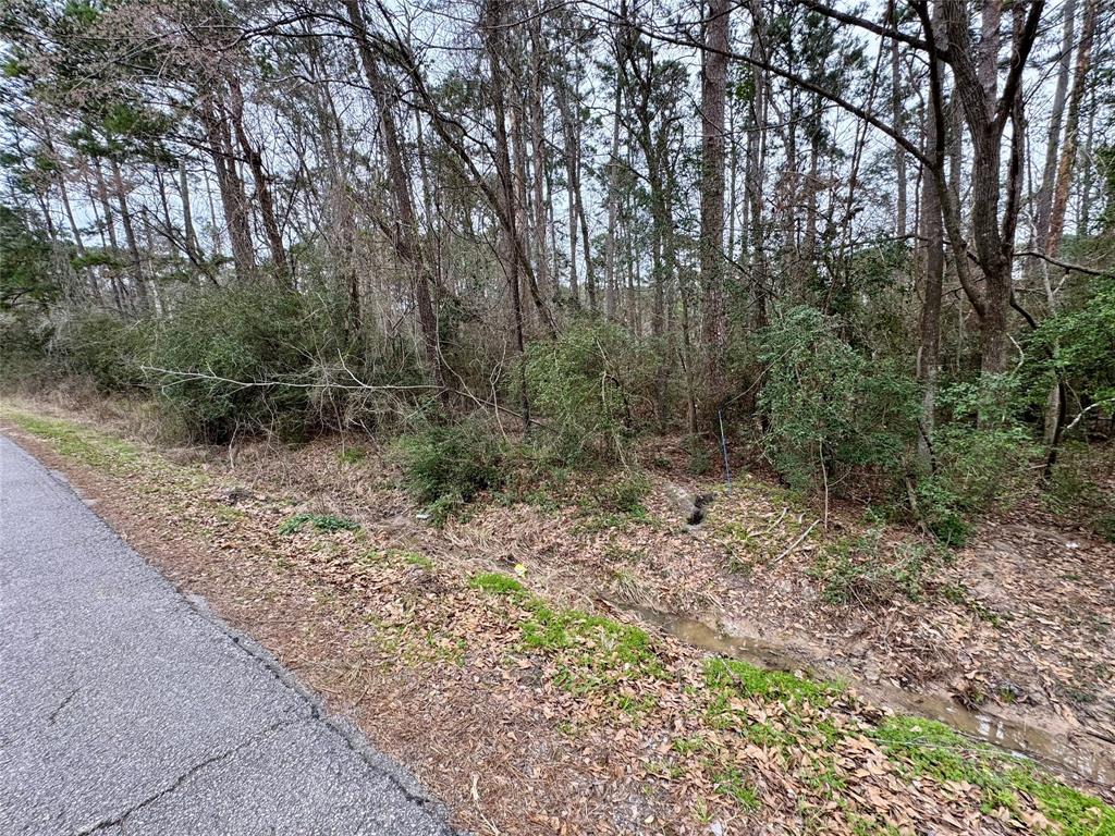 Lot 105 Whisperwood Drive, Onalaska, Texas image 2
