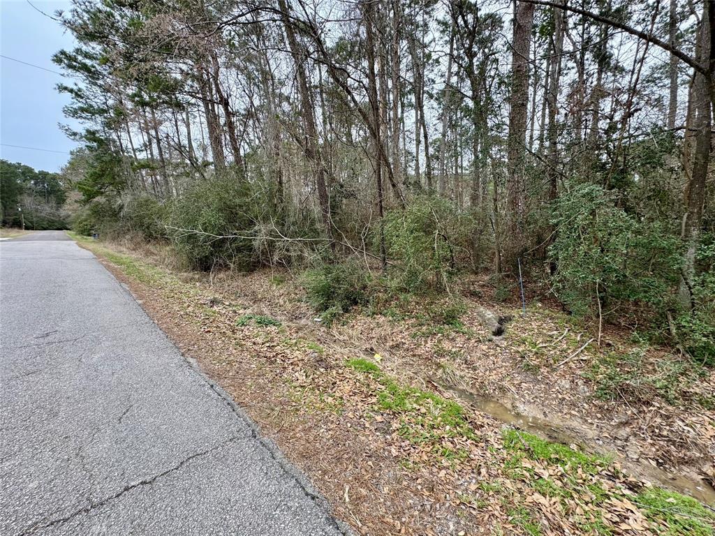 Lot 105 Whisperwood Drive, Onalaska, Texas image 3