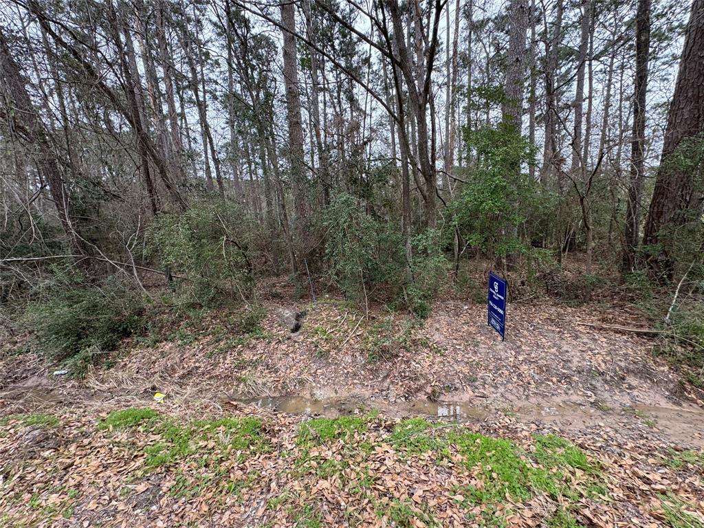 Lot 105 Whisperwood Drive, Onalaska, Texas image 4