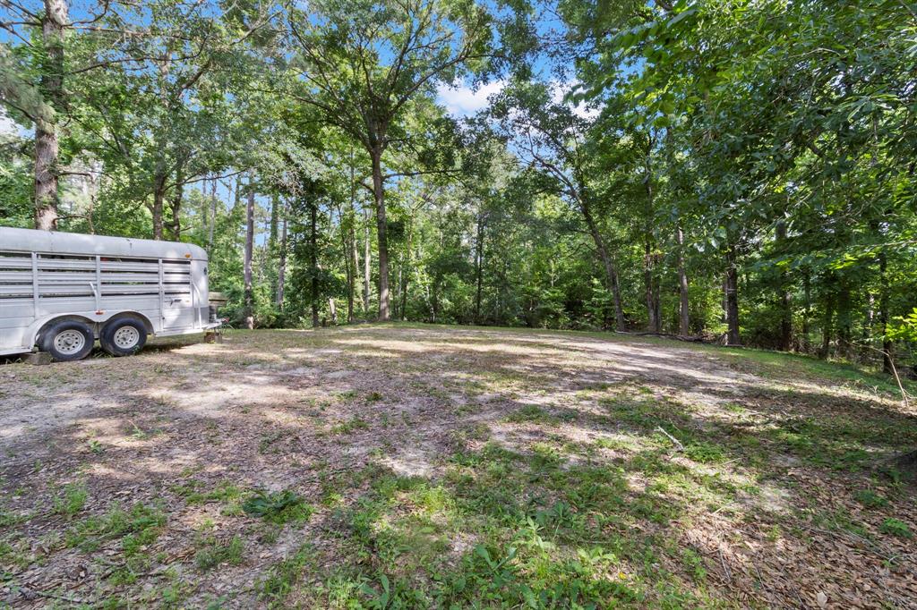 285 Tijuana, Goodrich, Texas image 18
