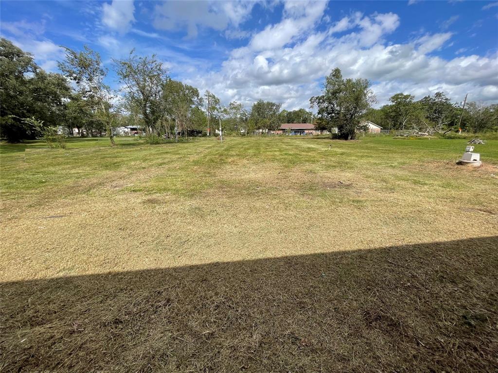 127 Country Oaks Street #LOT 7, Brazoria, Texas image 15