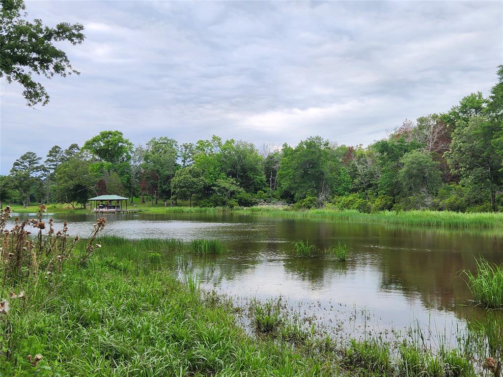 9042 Safari Bluff, Larue, Texas image 29