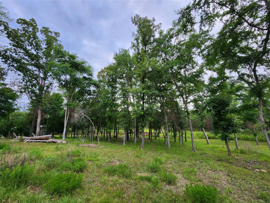 9042 Safari Bluff, Larue, Texas image 13