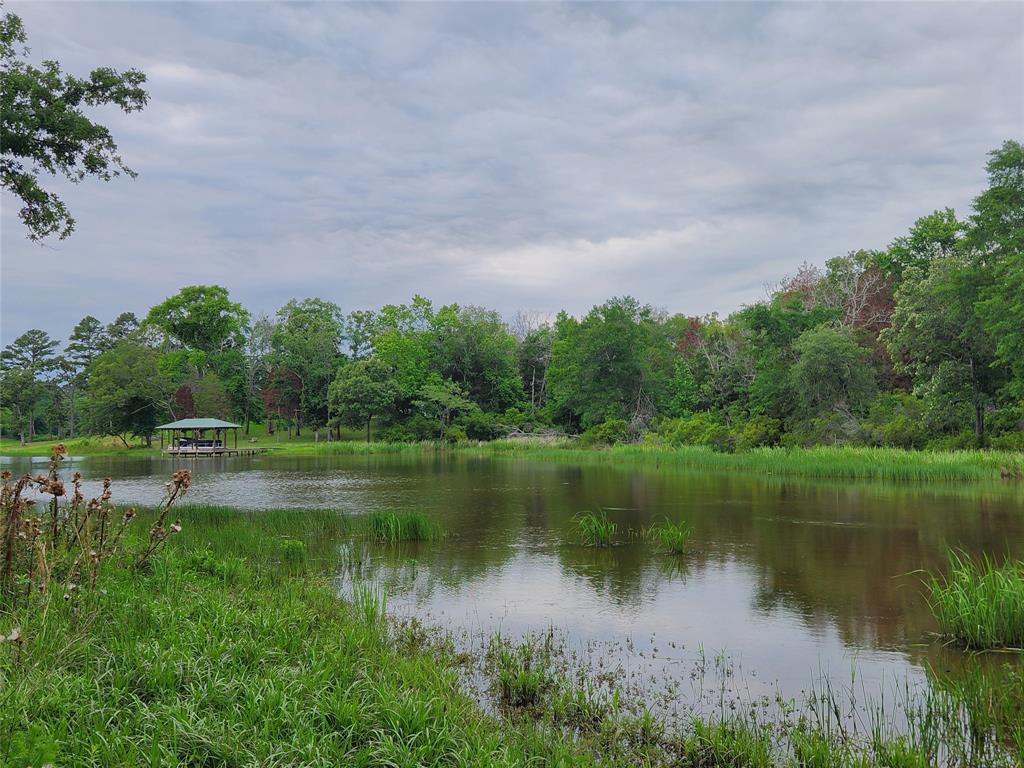 9042 Safari Bluff, Larue, Texas image 14