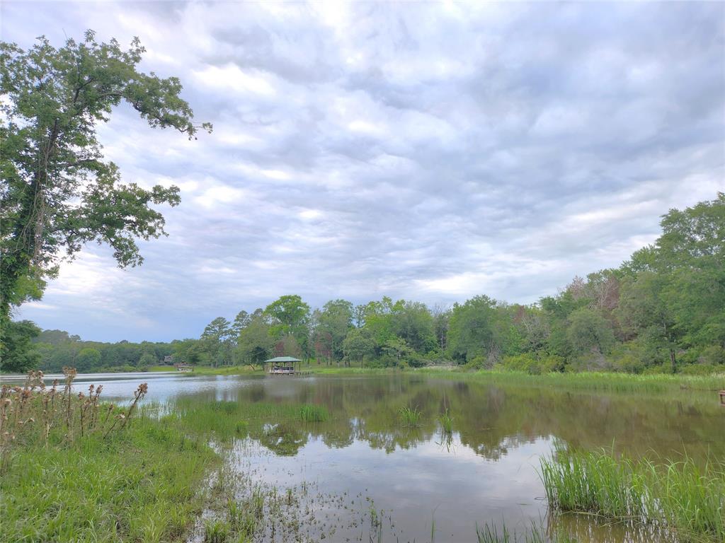 9042 Safari Bluff, Larue, Texas image 1