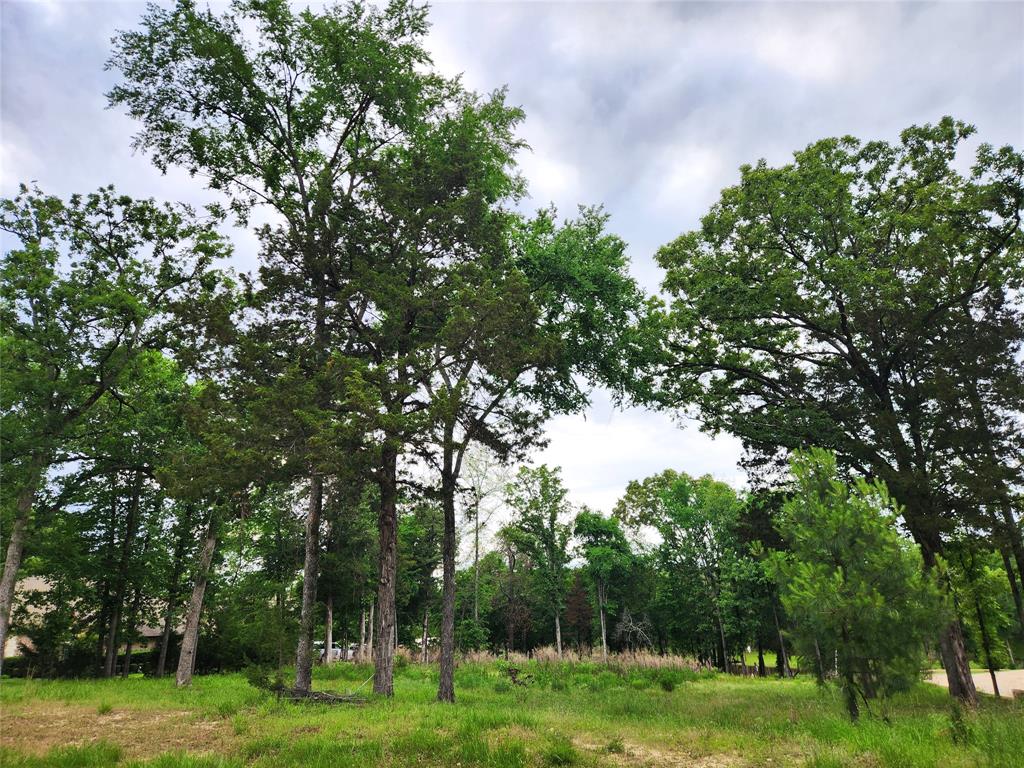 9042 Safari Bluff, Larue, Texas image 7