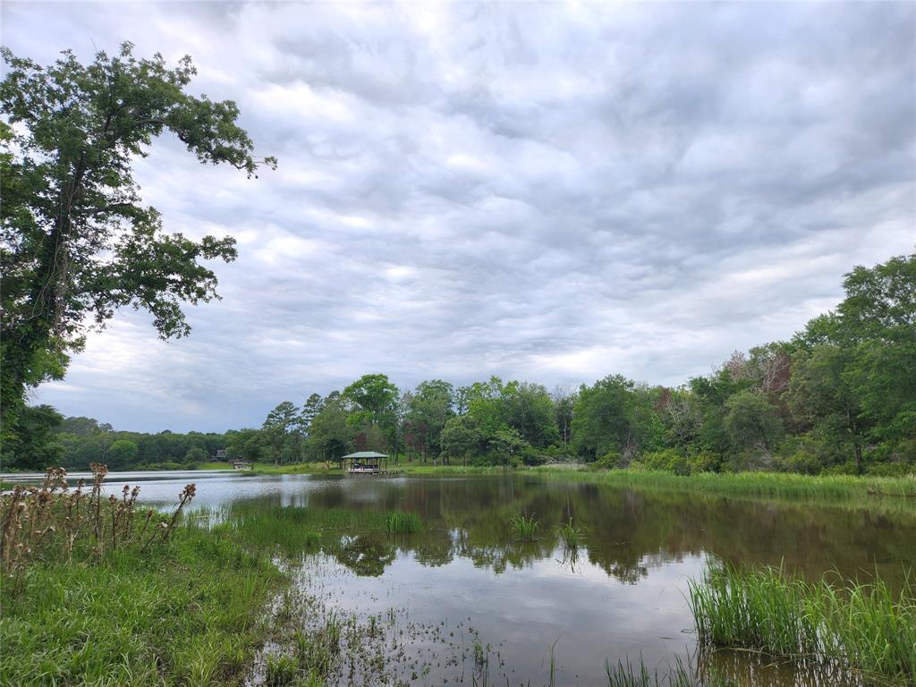 9042 Safari Bluff, Larue, Texas image 31