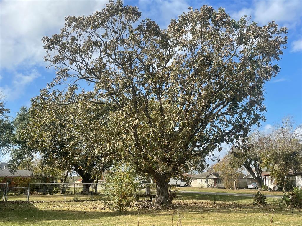 809 4th Street, Palacios, Texas image 2