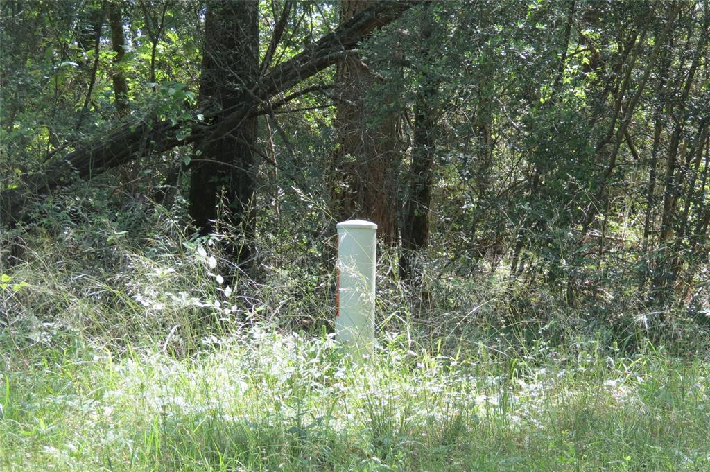 TBD Dorrell Road, Huntsville, Texas image 6