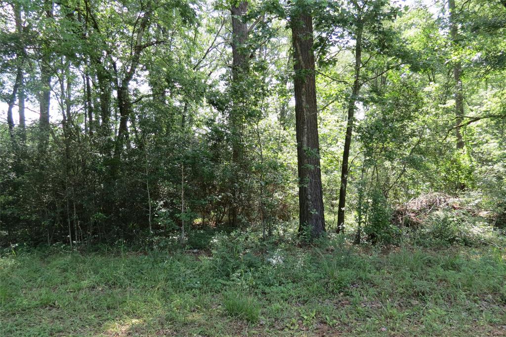 TBD Dorrell Road, Huntsville, Texas image 13