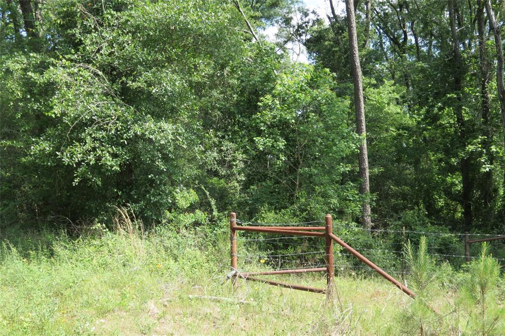 TBD Dorrell Road, Huntsville, Texas image 11