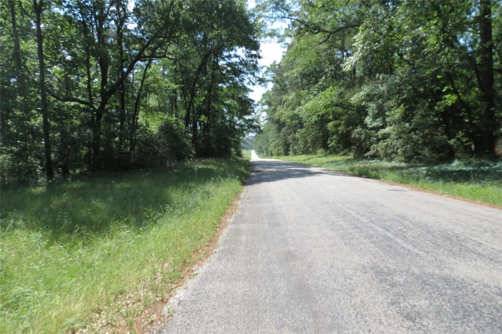 TBD Dorrell Road, Huntsville, Texas image 2