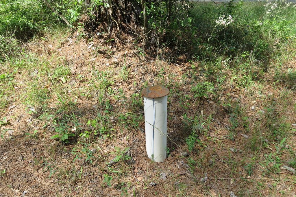 TBD Dorrell Road, Huntsville, Texas image 17