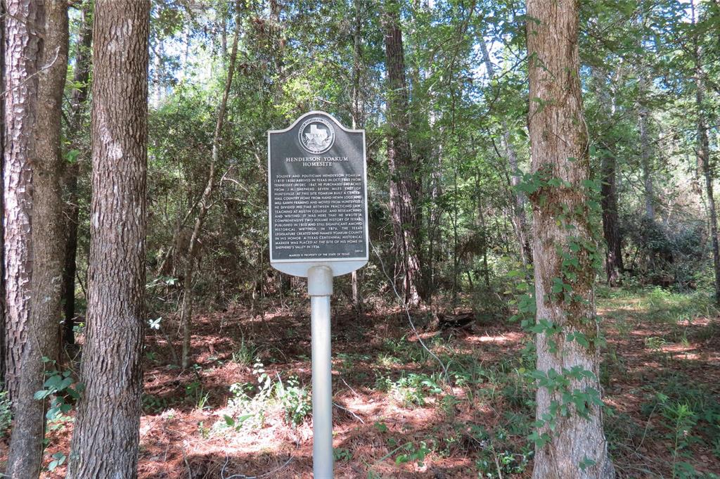 TBD Dorrell Road, Huntsville, Texas image 9