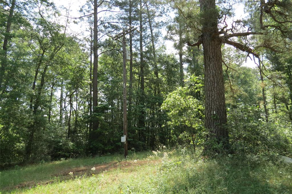 TBD Dorrell Road, Huntsville, Texas image 12