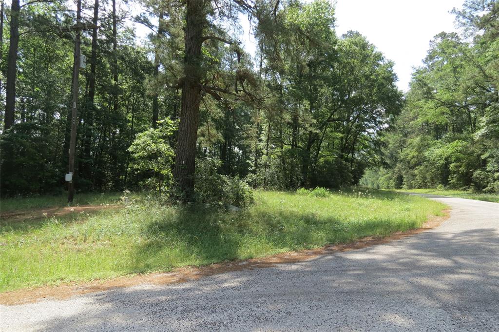 TBD Dorrell Road, Huntsville, Texas image 5