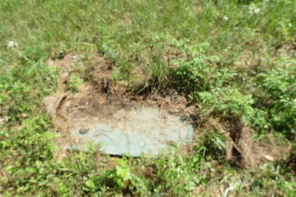 TBD Dorrell Road, Huntsville, Texas image 7