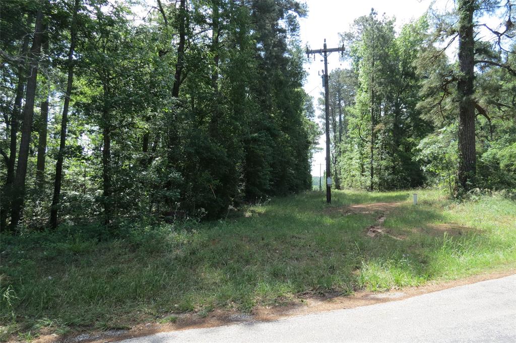 TBD Dorrell Road, Huntsville, Texas image 16
