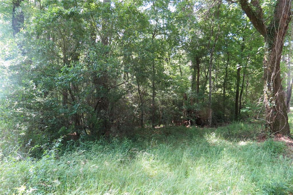 TBD Dorrell Road, Huntsville, Texas image 15