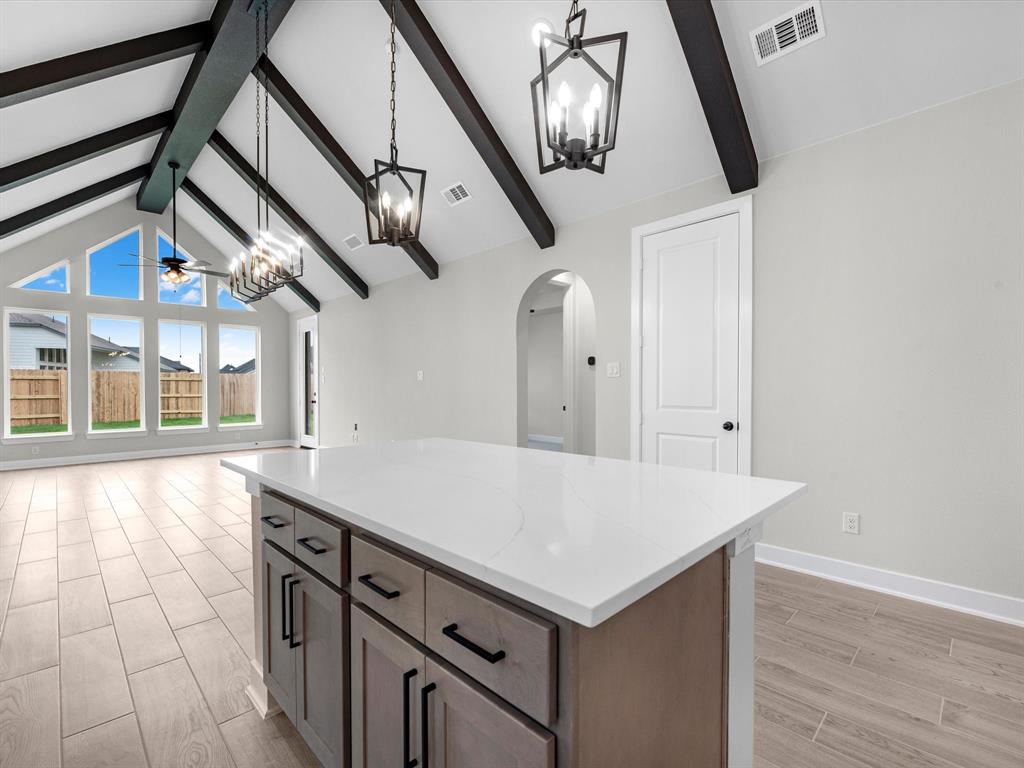 24723 Lobelia Garden Lane, Katy, Texas image 8