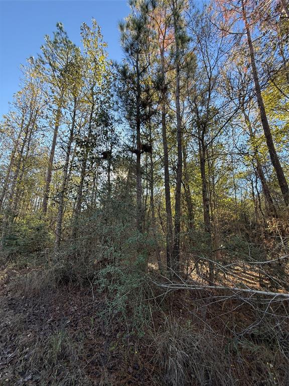 TBD Deer Run Dr, Trinity, Texas image 4