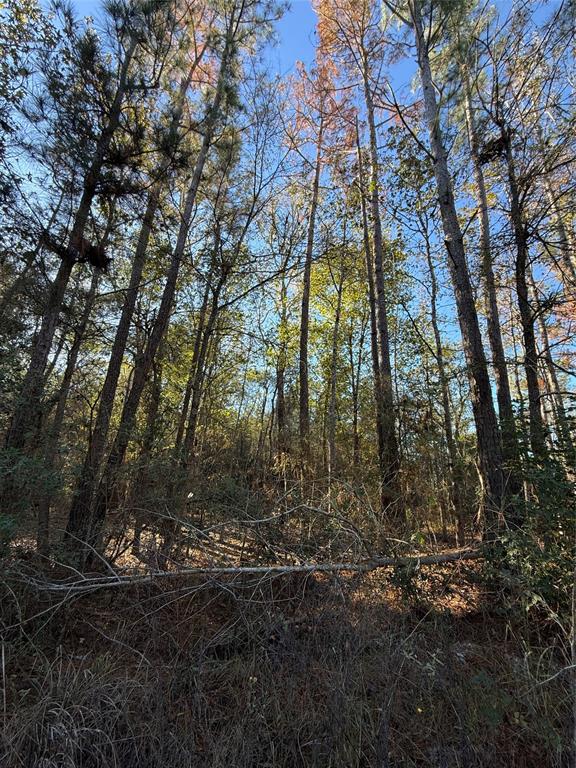 TBD Deer Run Dr, Trinity, Texas image 3