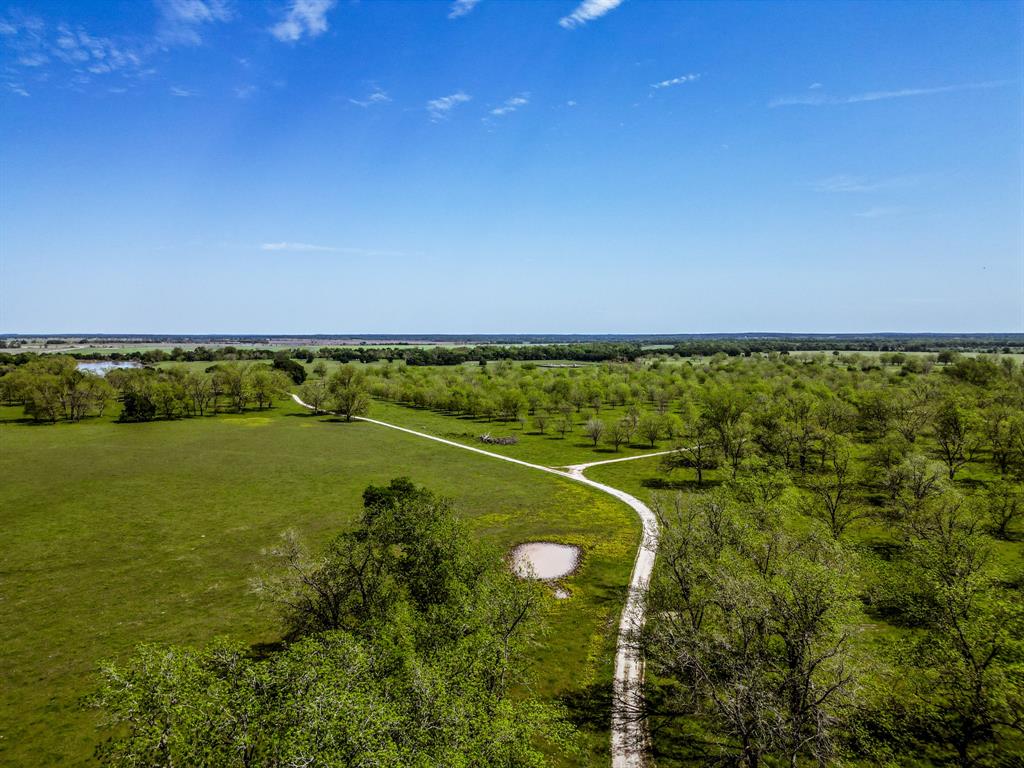 16724 Hwy 21 East, Midway, Texas image 9