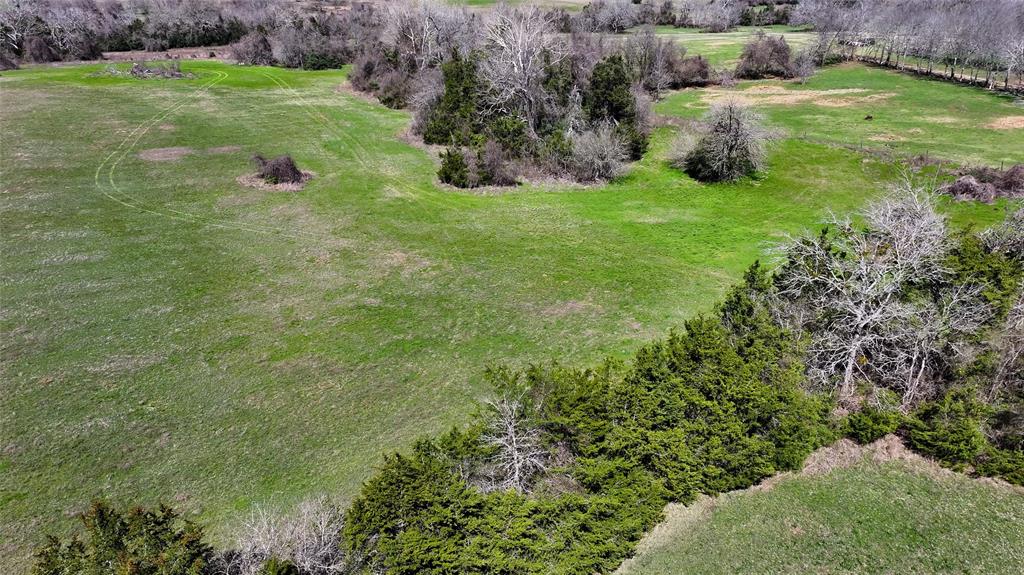 TBD Star Hill Road, New Ulm, Texas image 7
