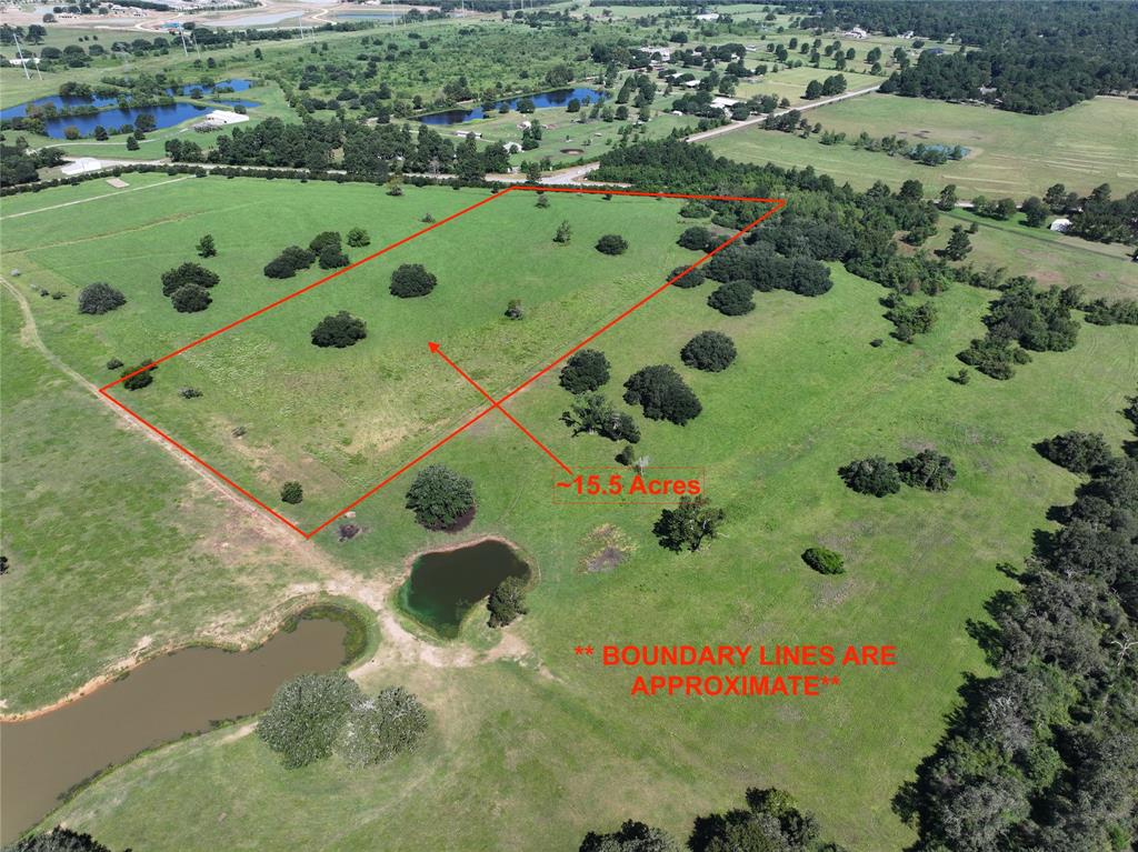 26039 Magnolia Lot 3 Road, Hockley, Texas image 2