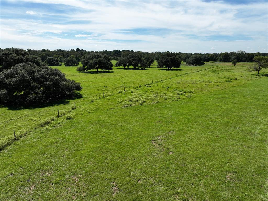 26039 Magnolia Lot 3 Road, Hockley, Texas image 5