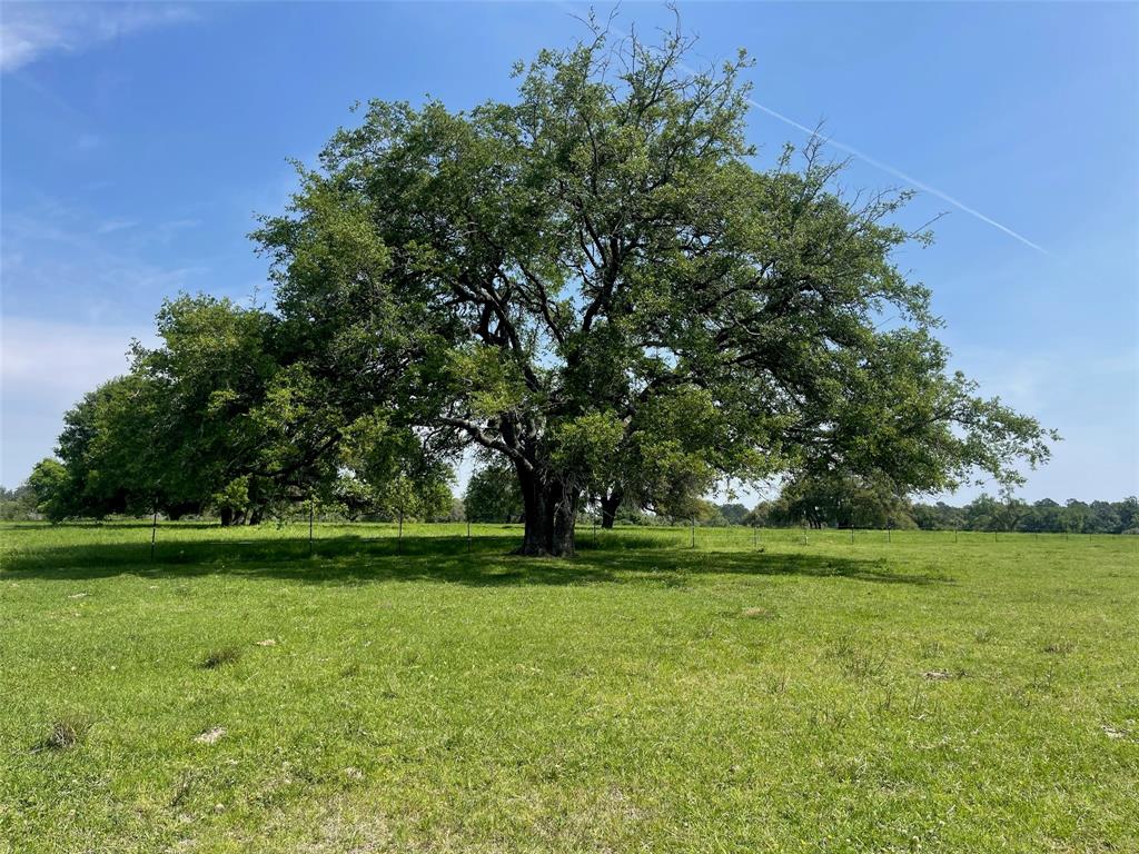 26039 Magnolia Lot 3 Road, Hockley, Texas image 1