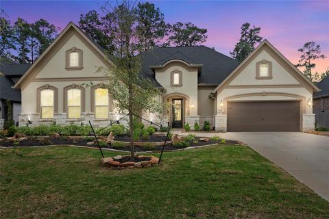 Single Family Residence in Pinehurst TX 625 Platinum Stone Lane 3.jpg