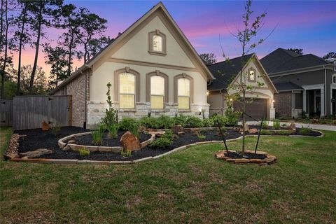 Single Family Residence in Pinehurst TX 625 Platinum Stone Lane 40.jpg