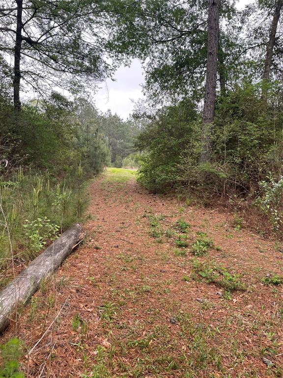 Aggie Expressway 249, Plantersville, Texas image 3