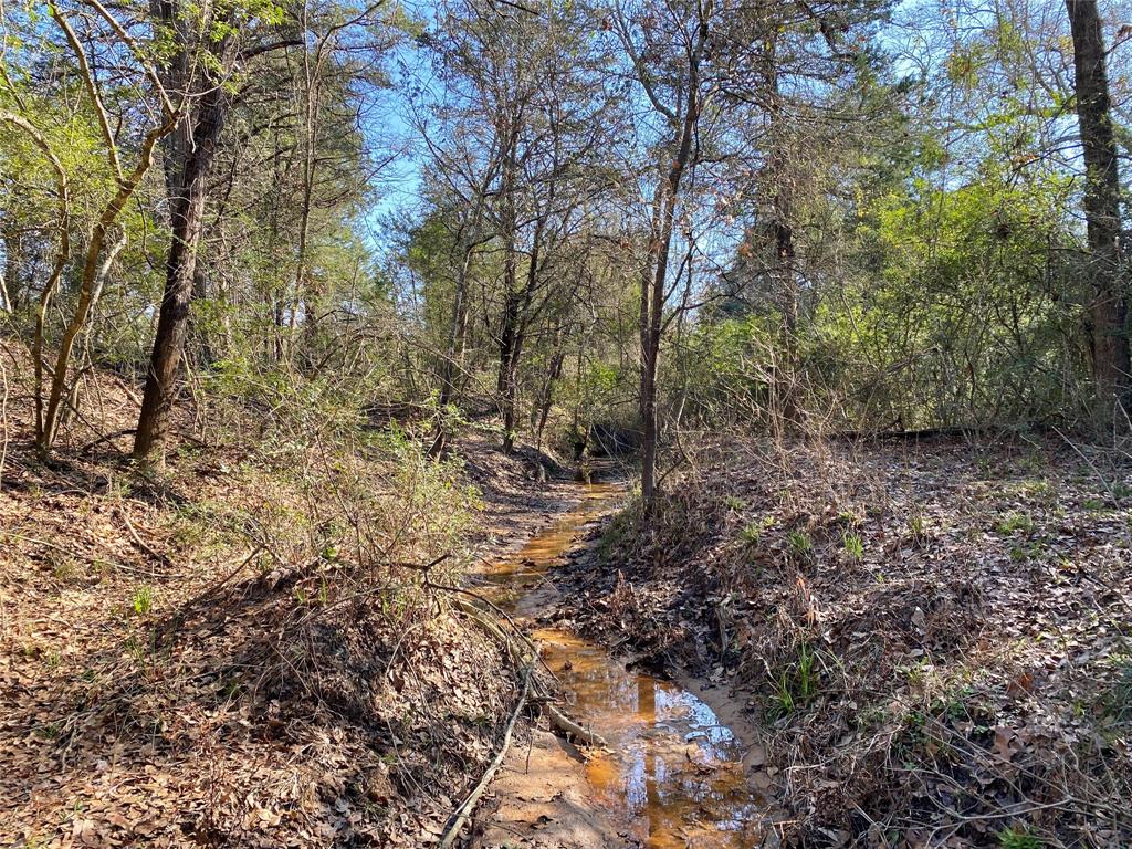 TBD County Road 401, Lexington, Texas image 22