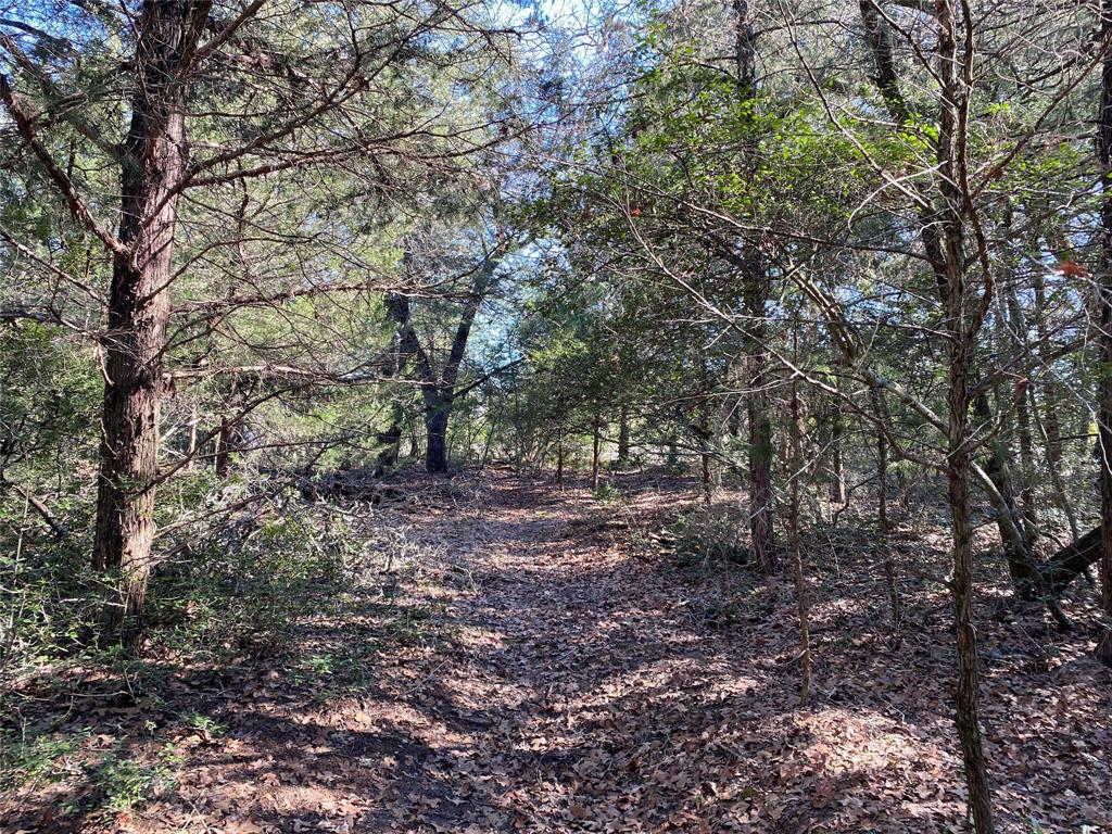 TBD County Road 401, Lexington, Texas image 9