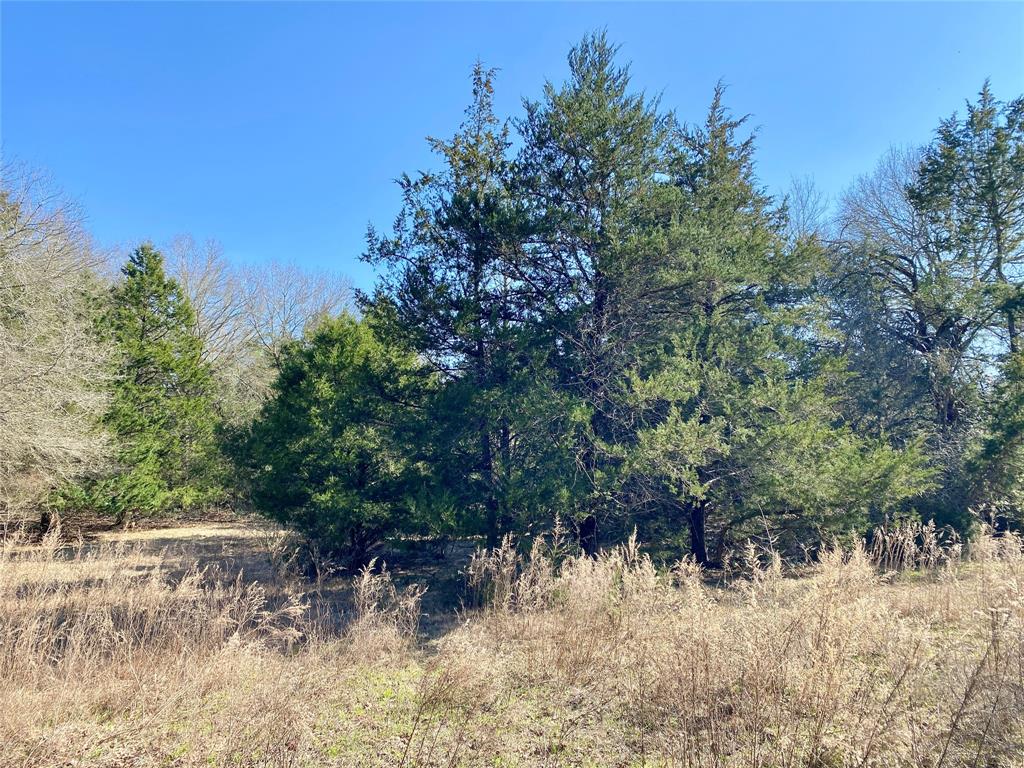 TBD County Road 401, Lexington, Texas image 18