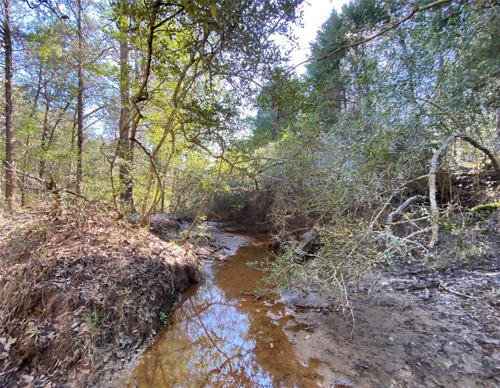 TBD County Road 401, Lexington, Texas image 2