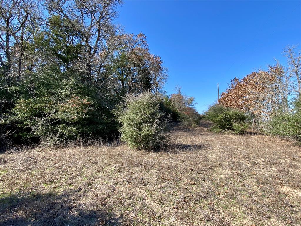 TBD County Road 401, Lexington, Texas image 16