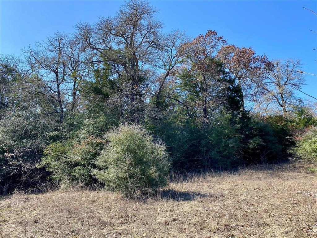 TBD County Road 401, Lexington, Texas image 15