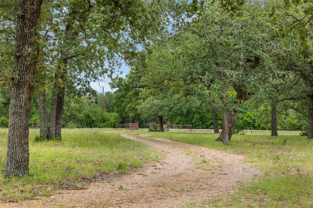 7715 Fm 153, La Grange, Texas image 28