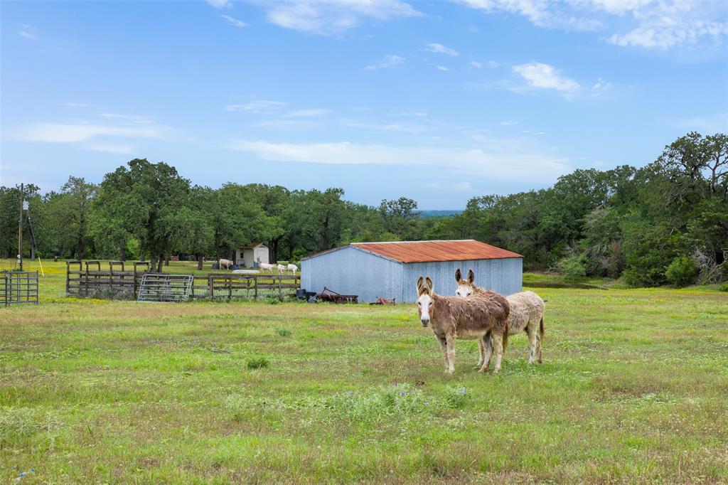 7715 Fm 153, La Grange, Texas image 32