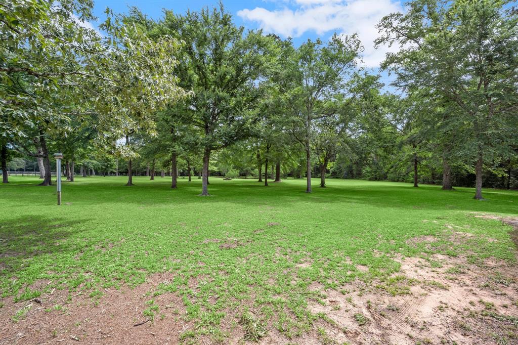 34102 Century Oaks Court, Magnolia, Texas image 33