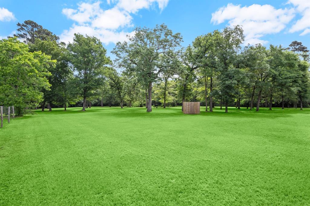 34102 Century Oaks Court, Magnolia, Texas image 32