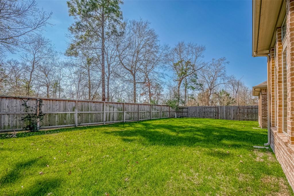 12902 Sierra National Drive, Humble, Texas image 50