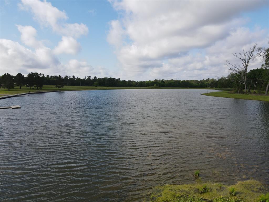 15568 Republic Ranch Road, Willis, Texas image 5