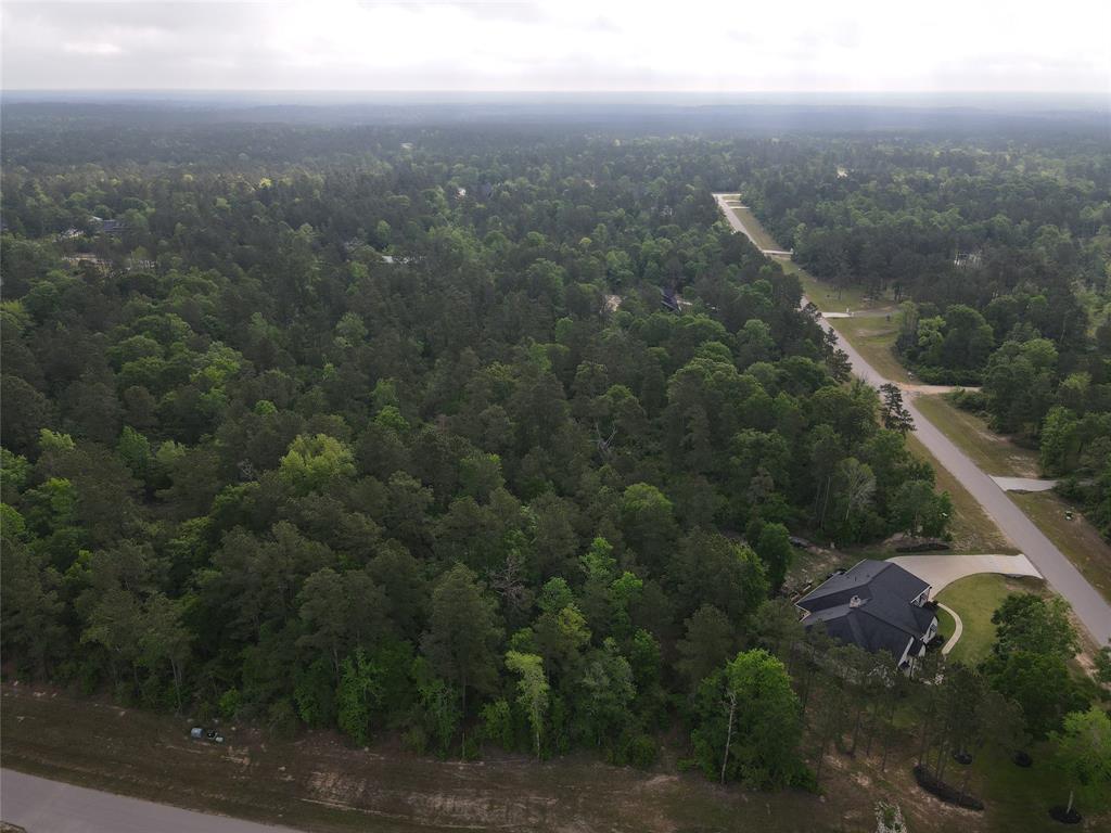 15568 Republic Ranch Road, Willis, Texas image 3
