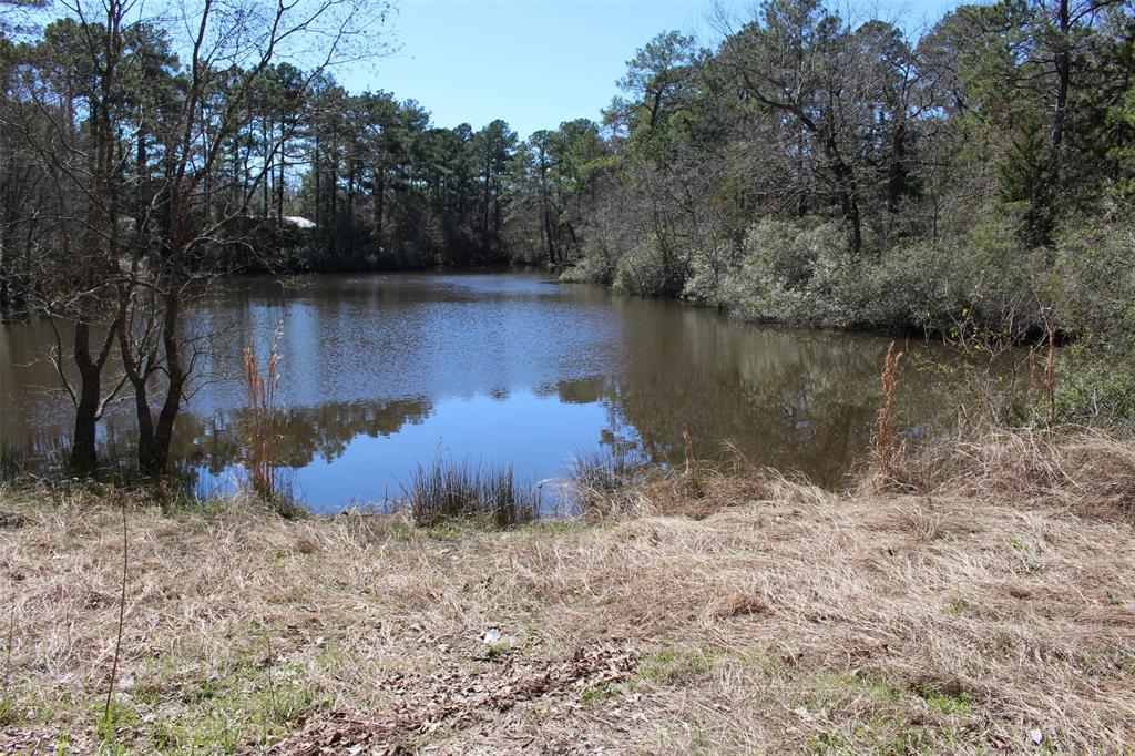 Lot 66 Hidden Lane, Trinity, Texas image 7