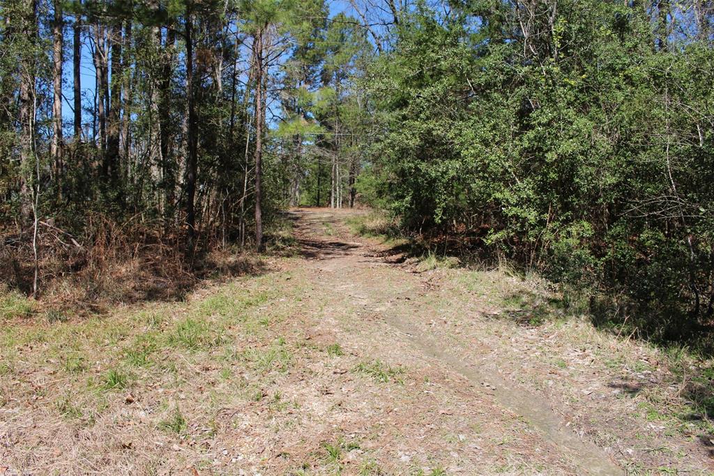 Lot 66 Hidden Lane, Trinity, Texas image 10