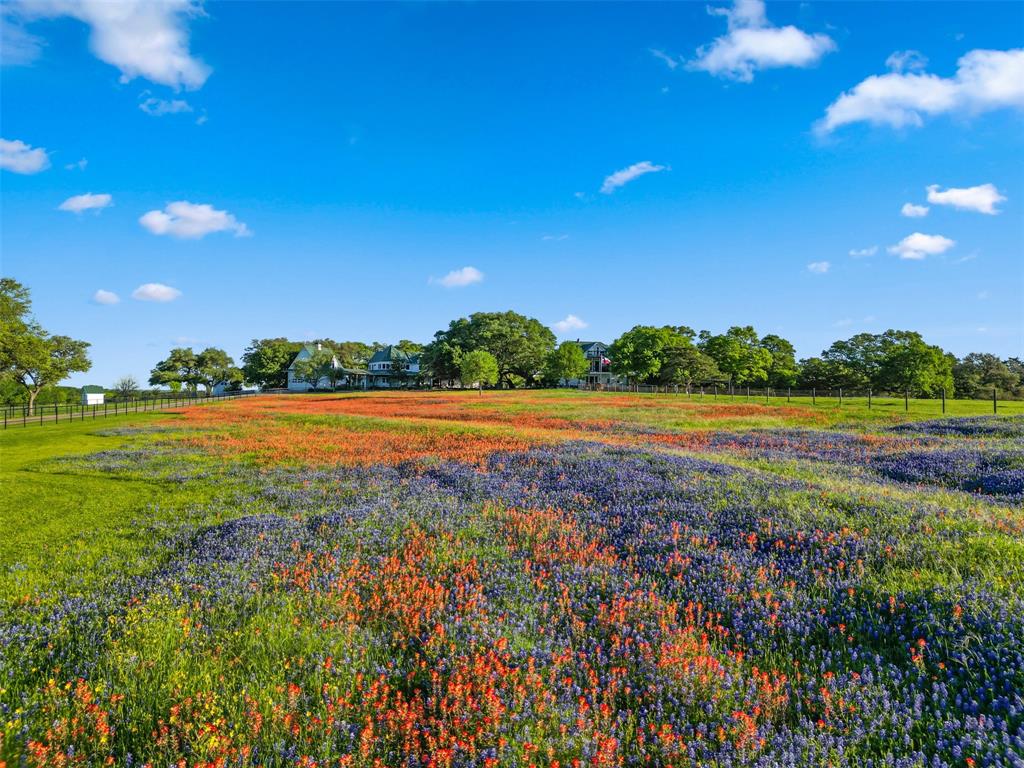 1007 Fm 390, Brenham, Texas image 7